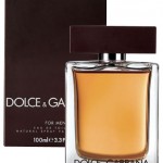 dolce & gabbana the one for men
