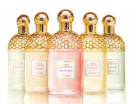 Parfumuri Guerlain Aqua Allegoria